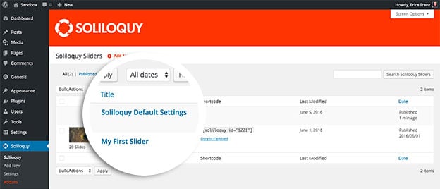 soliloquy-defaults-settings-slider-item