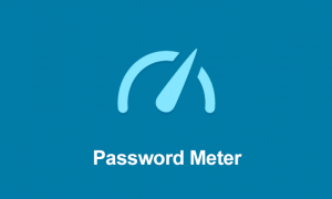 password-meter-product-image (1)