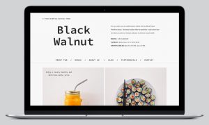 blackwalnut-wordpress-theme_slider01