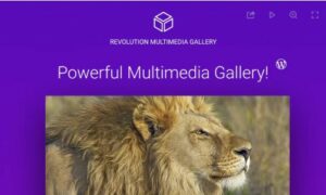 revolution-multimedia-gallery-wordpress-plugin