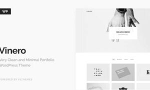 vinero-very-clean-and-minimal-portfolio-wordpress-theme