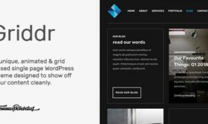 griddr-animated-grid-creative-wordpress-theme