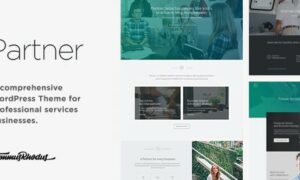 partner-accounting-and-law-responsive-wordpress-theme