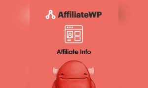 AffiliateWP Affiliate Info