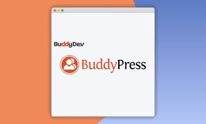 BuddyPress Friendship Restrictions
