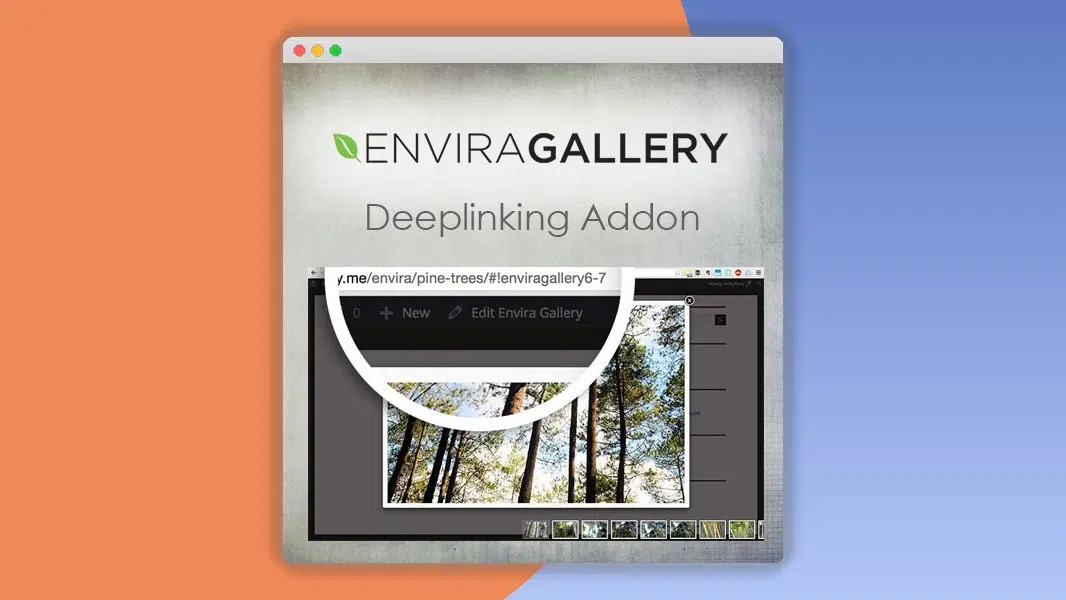 Envira Gallery – Deeplinking Addon