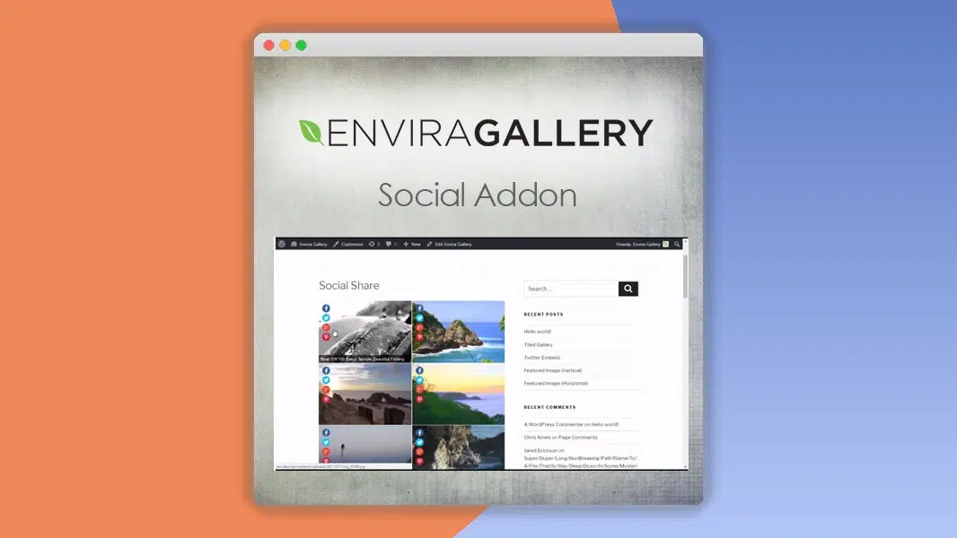 Envira Gallery – Social Addon