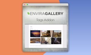 Envira Gallery – Tags Addon