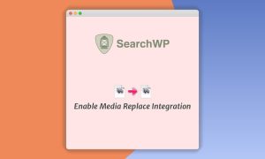 SearchWP Enable Media Replace Integration