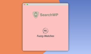 SearchWP Fuzzy Matches