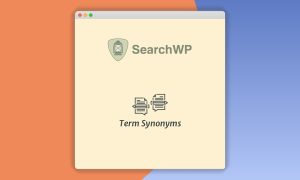 SearchWP Term Synonyms