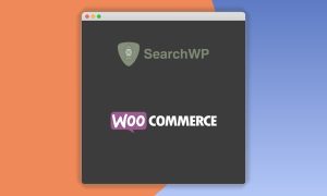 SearchWP WooCommerce Integration