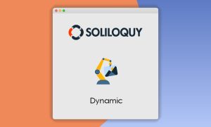 Soliloquy Dynamic Addon