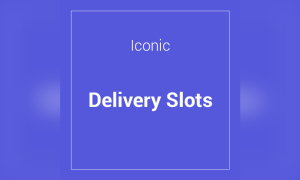 Iconic WooCommerce Delivery Slots
