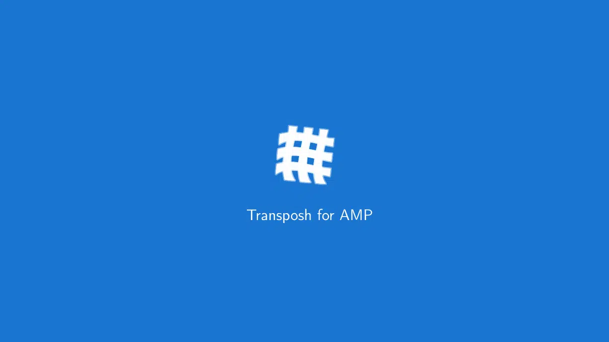 Transposh for AMP