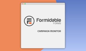 Formidable Campaign Monitor