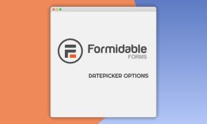 Formidable Datepicker Options