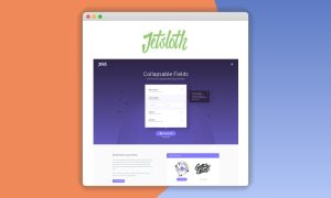 Jetsloth – Gravity Forms Collapsible Sections