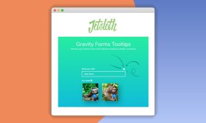 Jetsloth – Gravity Forms Tooltips