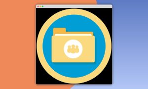 Paid Memberships Pro – Membership Manager Role Add On