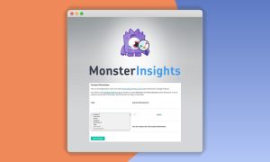 MonsterInsights – Dimensions Addon