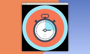 Paid Memberships Pro – Subscription Delays Add On