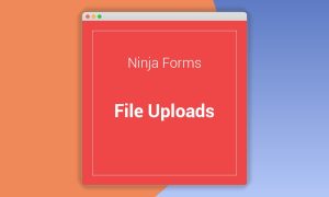 Ninja Forms File Uploads