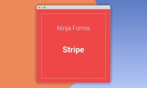 Ninja Forms Stripe